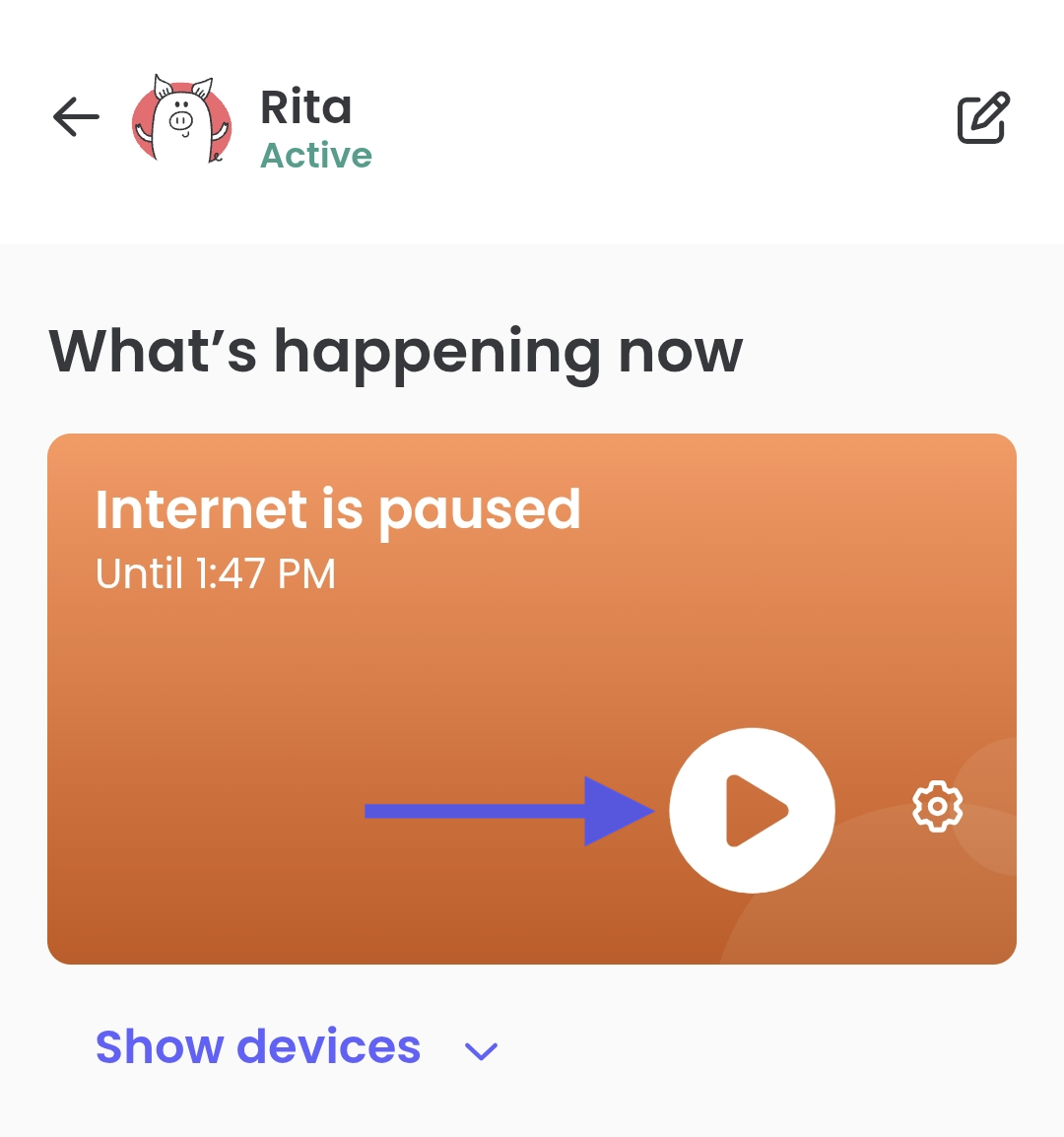 pause internet 3.png